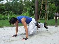 TRX alternate knee thrust